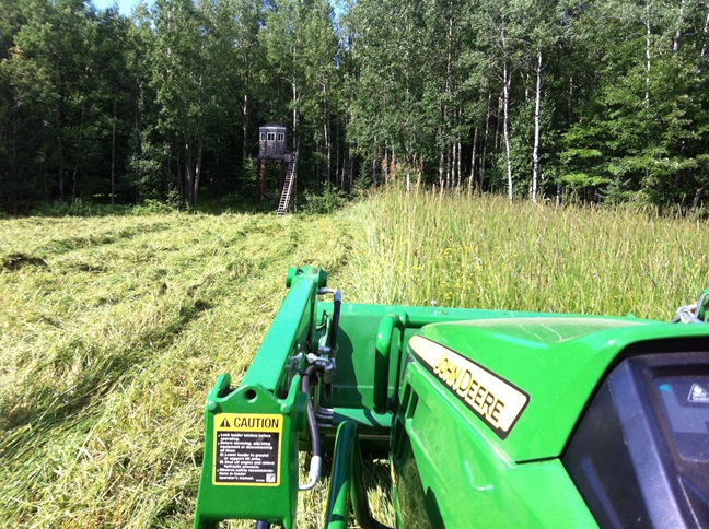 Food Plot 4